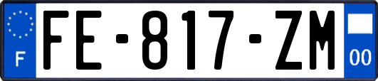 FE-817-ZM
