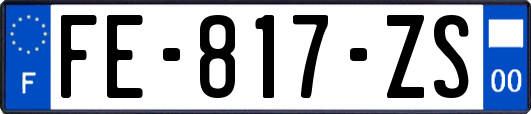 FE-817-ZS