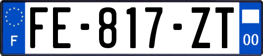 FE-817-ZT