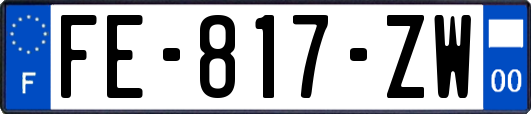 FE-817-ZW