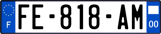 FE-818-AM