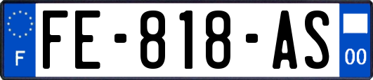 FE-818-AS