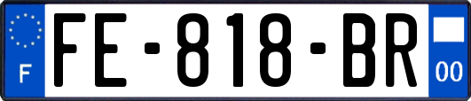 FE-818-BR