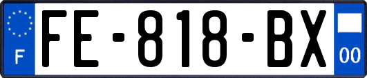 FE-818-BX