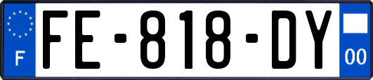 FE-818-DY