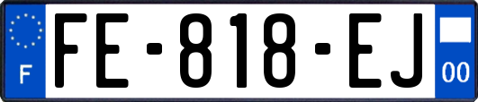 FE-818-EJ