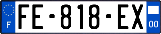 FE-818-EX