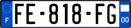 FE-818-FG