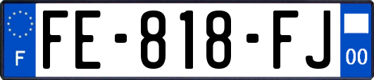 FE-818-FJ