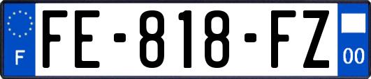 FE-818-FZ