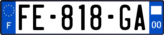 FE-818-GA