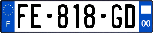 FE-818-GD