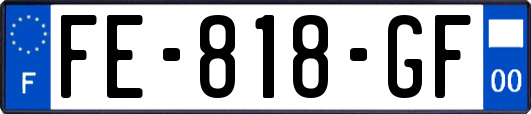 FE-818-GF
