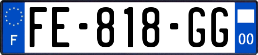 FE-818-GG