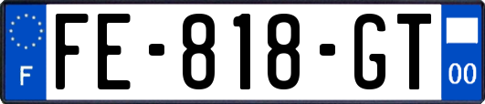 FE-818-GT