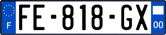 FE-818-GX