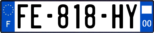 FE-818-HY