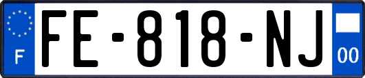 FE-818-NJ