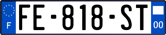 FE-818-ST
