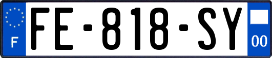 FE-818-SY
