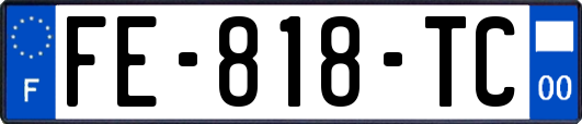 FE-818-TC