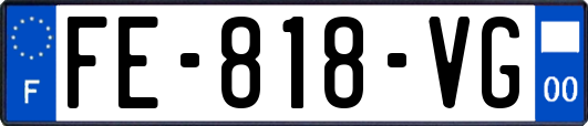 FE-818-VG