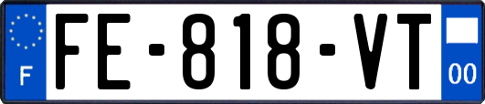 FE-818-VT