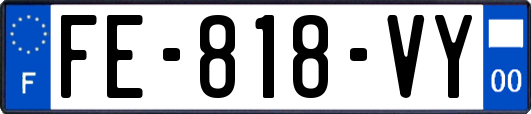 FE-818-VY