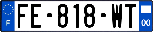 FE-818-WT
