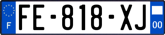 FE-818-XJ