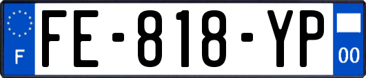 FE-818-YP