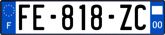 FE-818-ZC