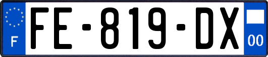 FE-819-DX