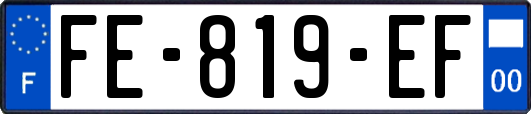 FE-819-EF