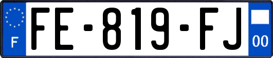 FE-819-FJ