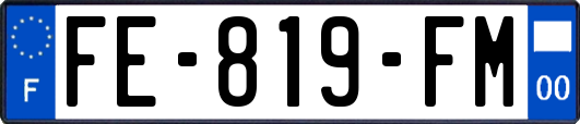 FE-819-FM