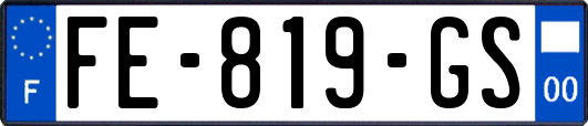 FE-819-GS