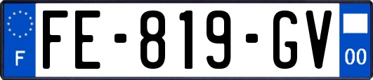 FE-819-GV