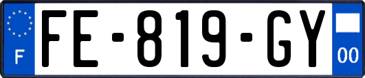 FE-819-GY