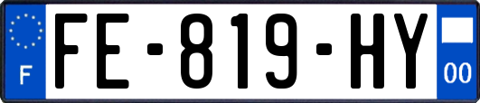 FE-819-HY