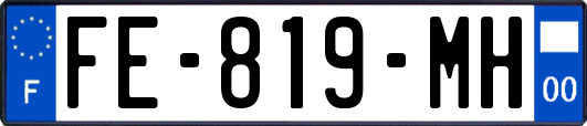 FE-819-MH