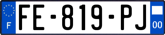 FE-819-PJ