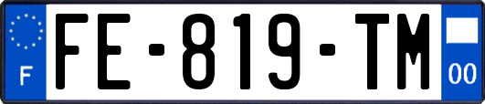 FE-819-TM
