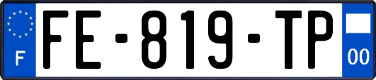 FE-819-TP