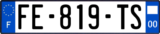 FE-819-TS