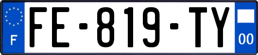 FE-819-TY