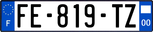 FE-819-TZ