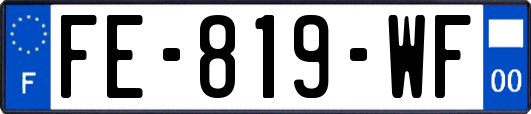 FE-819-WF