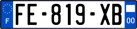 FE-819-XB