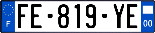 FE-819-YE